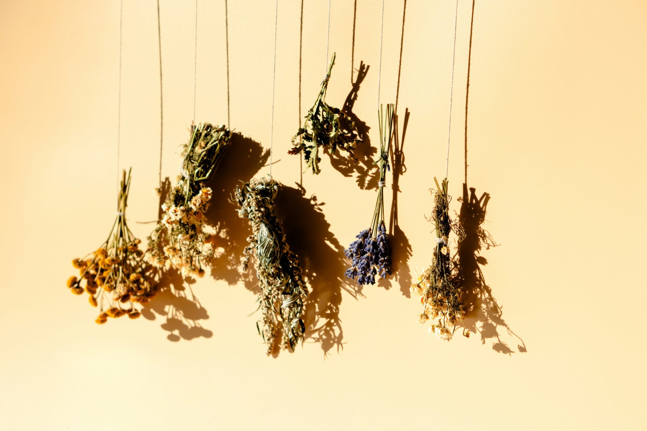 A group of dried flowers hanging from strings